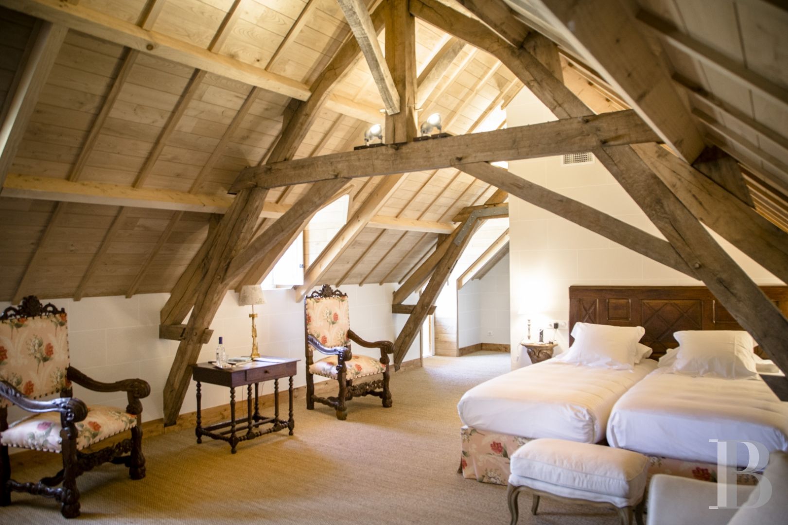 Aux portes du Mans, et à l’écart du monde,  un petit château des champs entouré d’un immense parc - photo  n°24