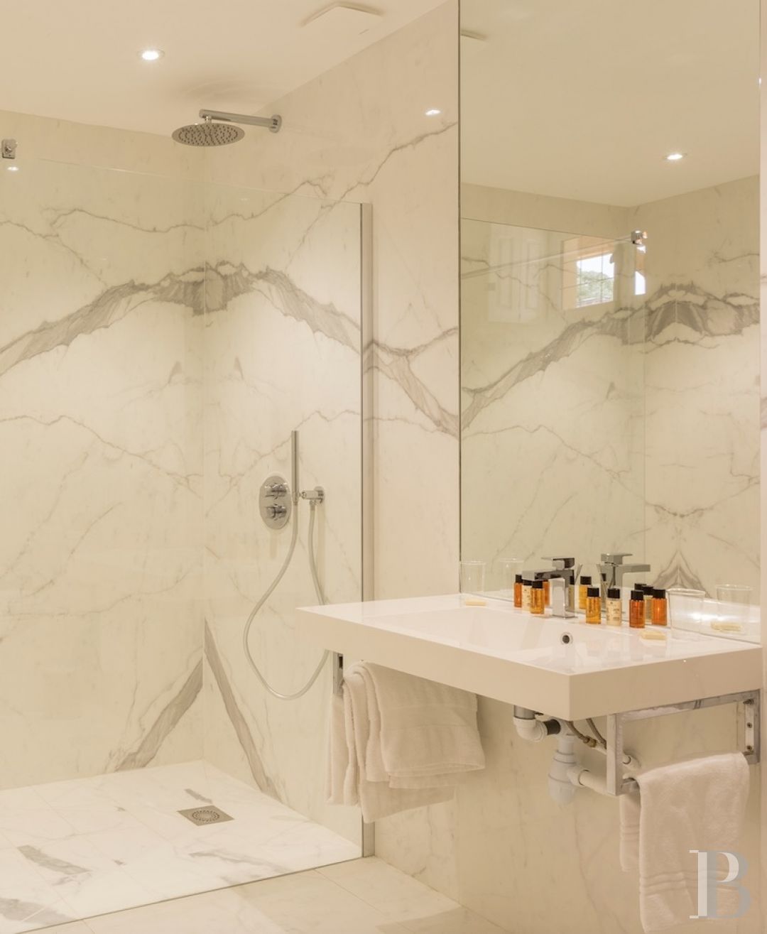 A small country chateau surrounded by a huge park on the outskirts of Le Mans, away from the world - photo  n°15