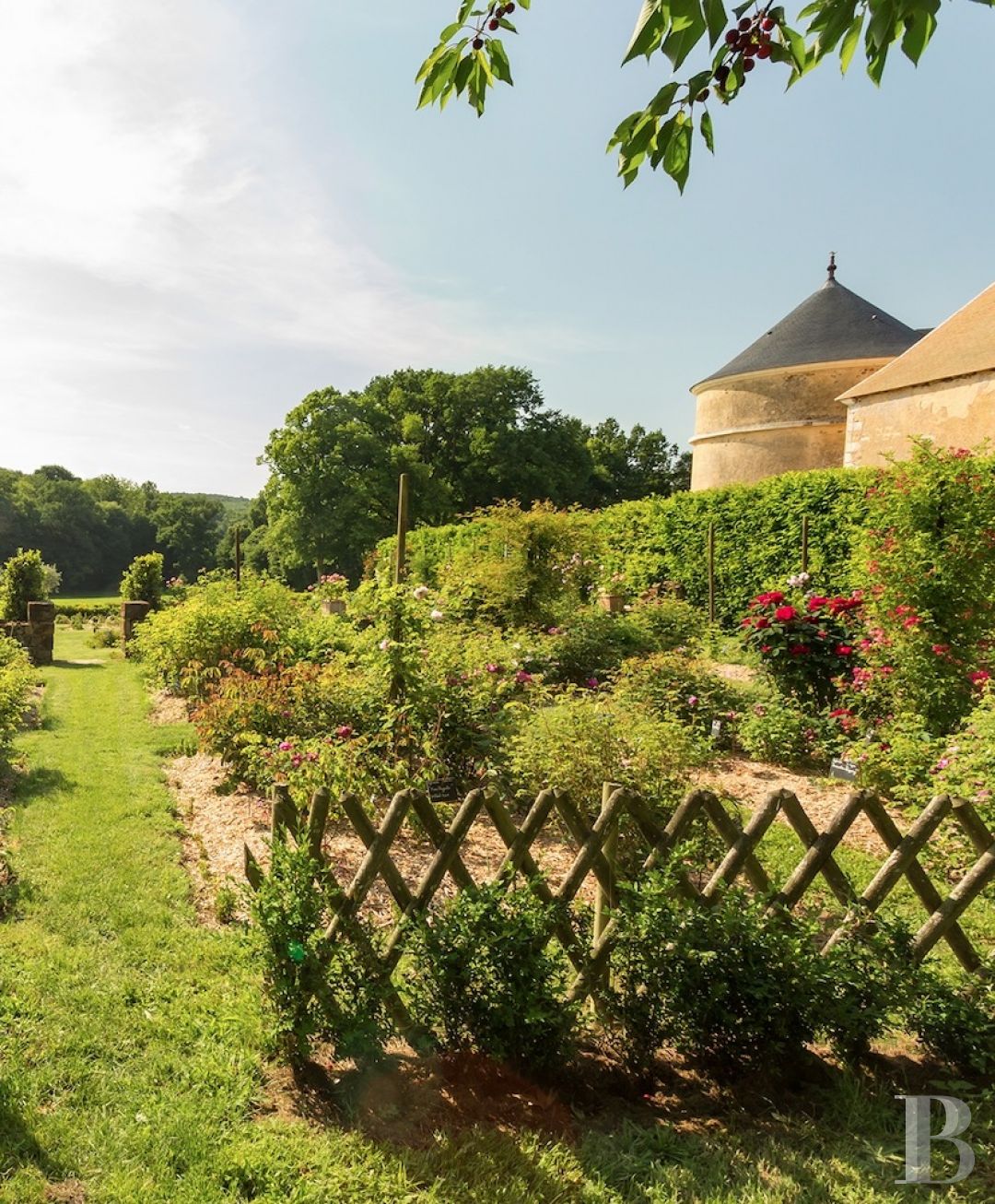 Aux portes du Mans, et à l’écart du monde,  un petit château des champs entouré d’un immense parc - photo  n°3