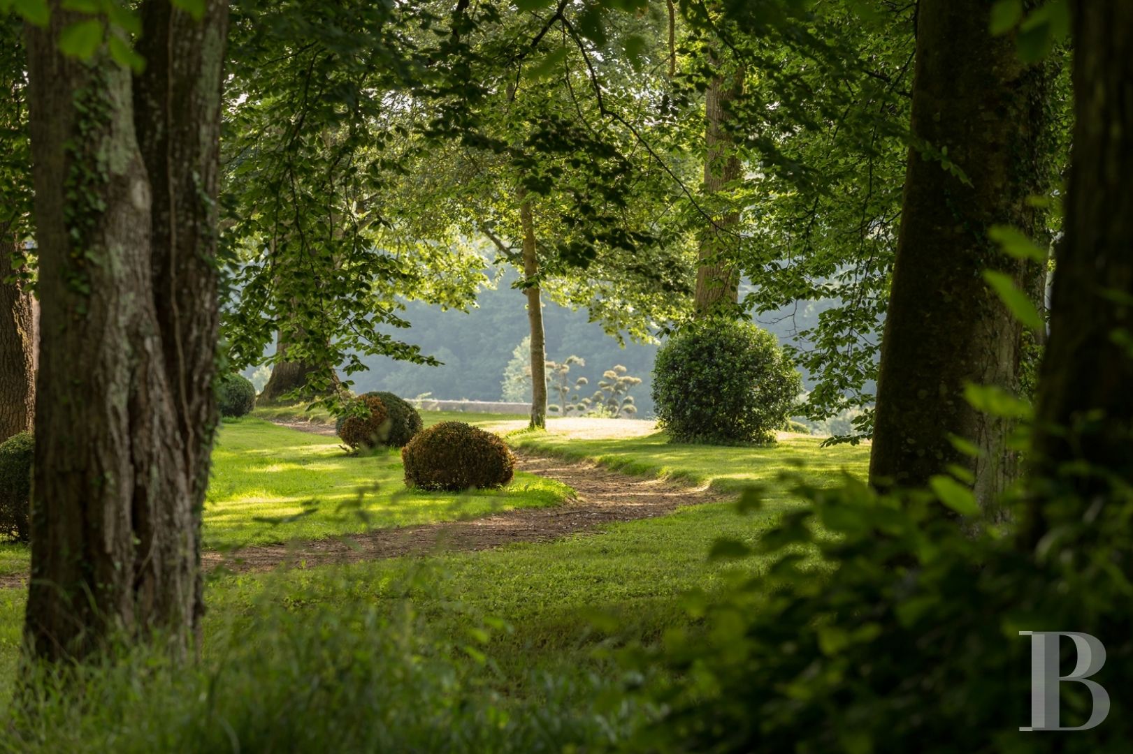 Aux portes du Mans, et à l’écart du monde,  un petit château des champs entouré d’un immense parc - photo  n°5