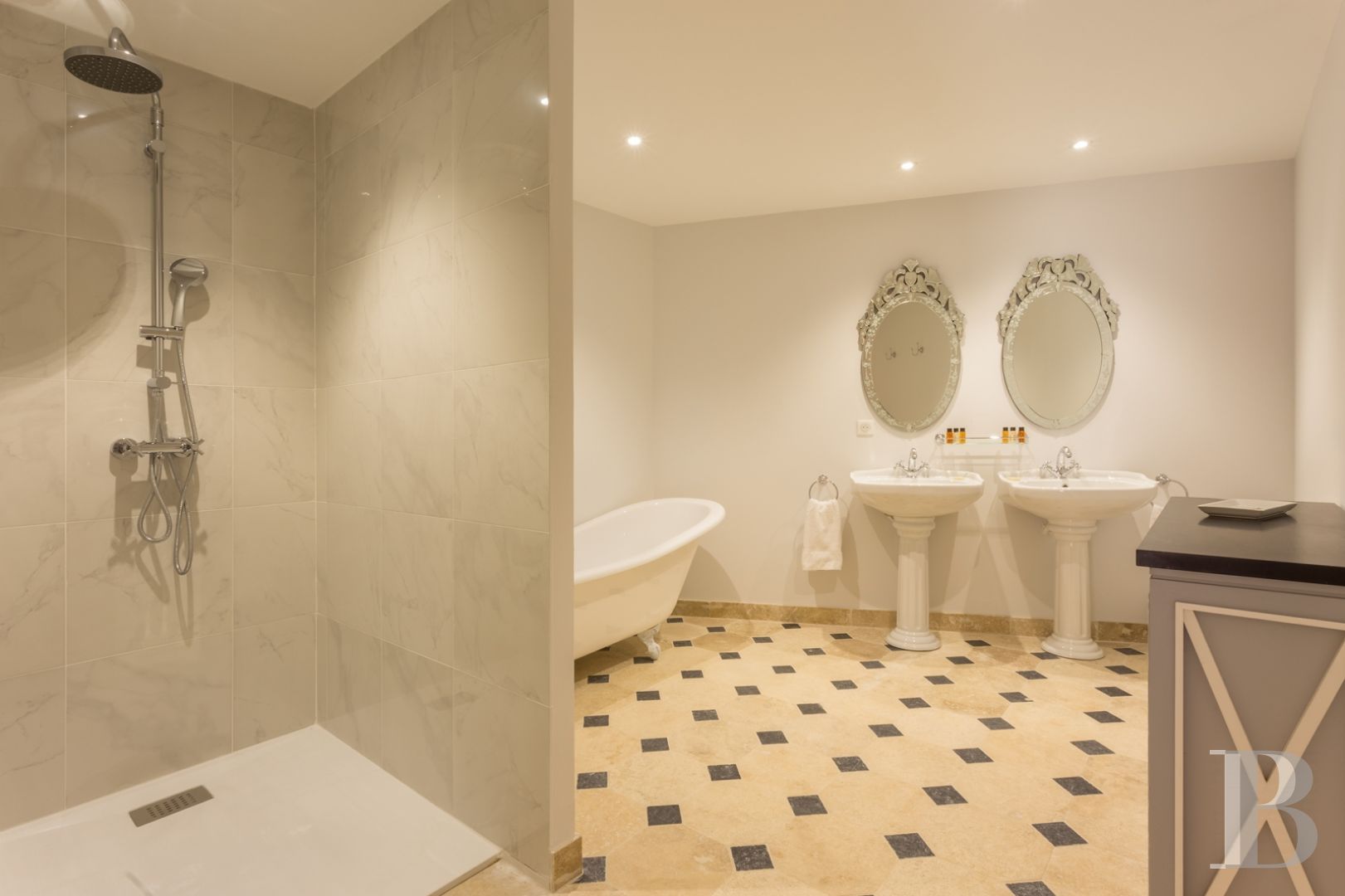 Aux portes du Mans, et à l’écart du monde,  un petit château des champs entouré d’un immense parc - photo  n°21