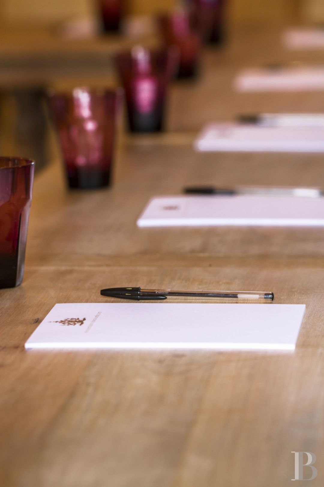 Aux portes du Mans, et à l’écart du monde,  un petit château des champs entouré d’un immense parc - photo  n°17