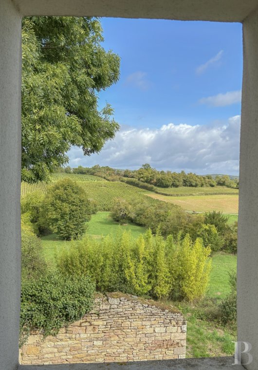character properties France burgundy   - 8