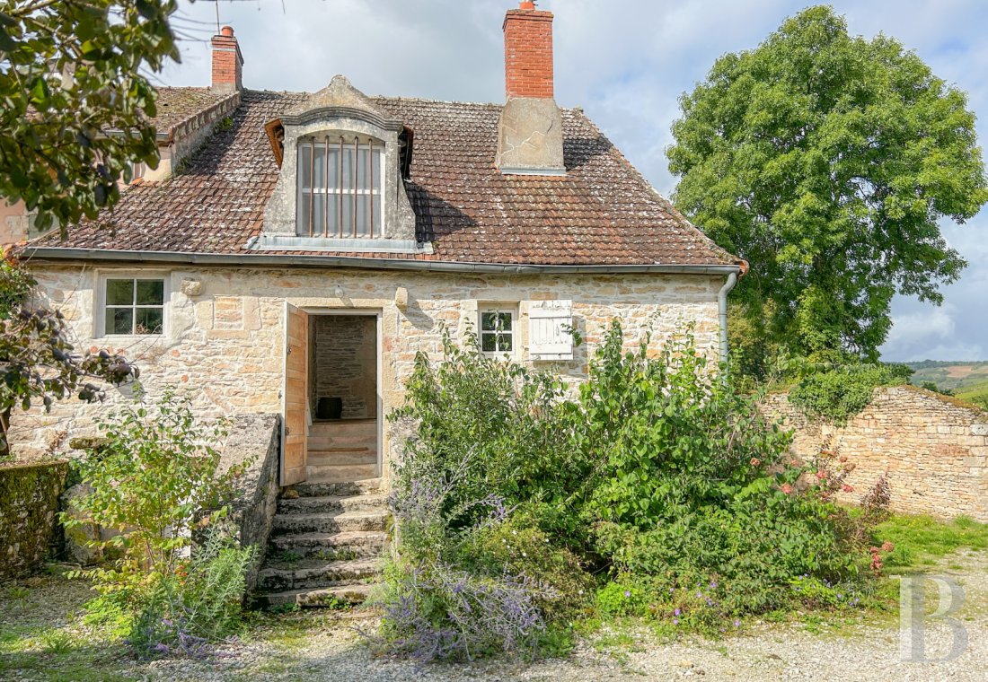 character properties France burgundy   - 1