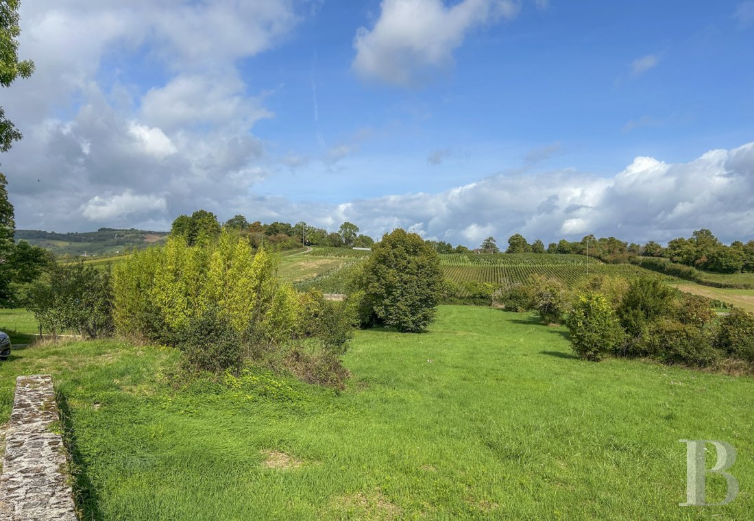 character properties France burgundy   - 11