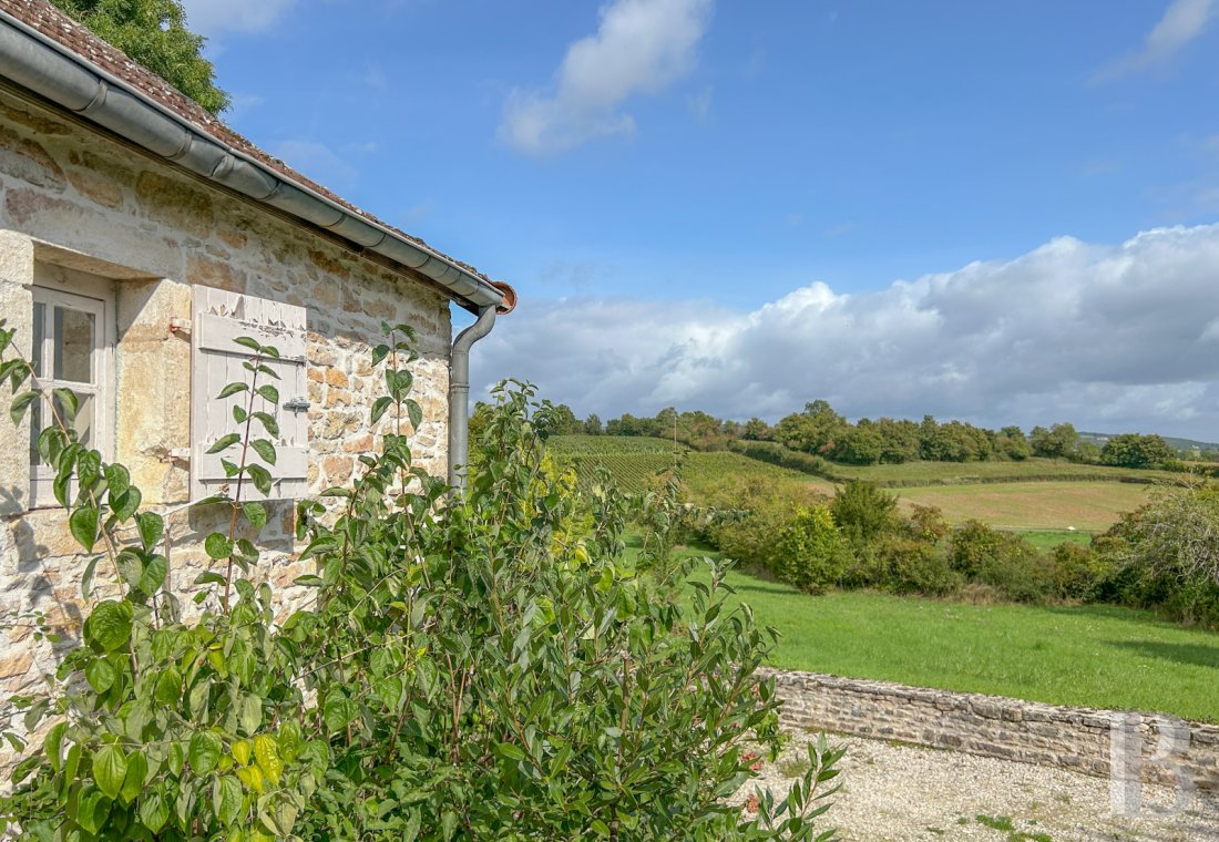 character properties France burgundy   - 10