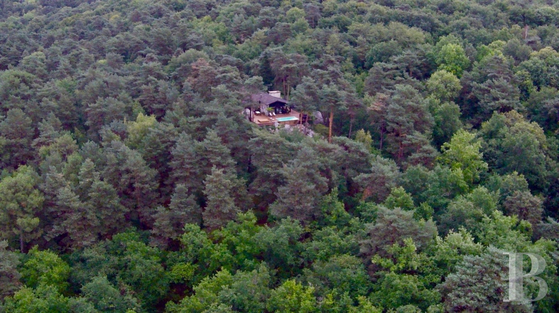 Dans la forêt de Fontainebleau,  une « Prairie House » à la française  - photo  n°16