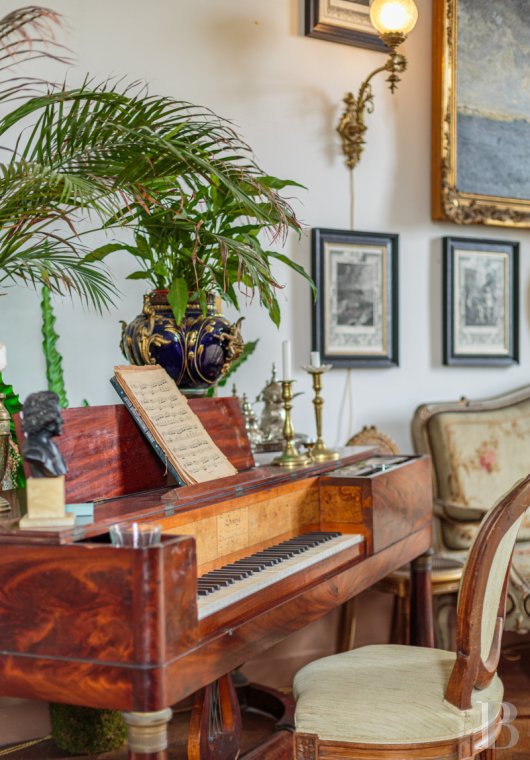 A chateau with a view of the Gaves Réunis in the heart of Labourd between Bayonne and Dax  - photo  n°13