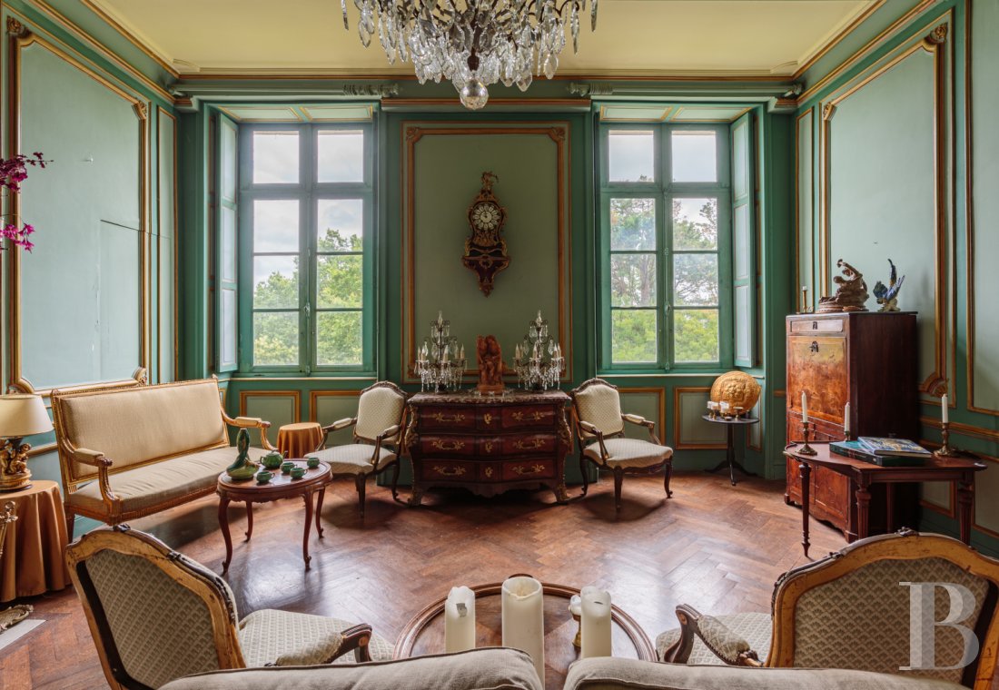 A chateau with a view of the Gaves Réunis in the heart of Labourd between Bayonne and Dax  - photo  n°11