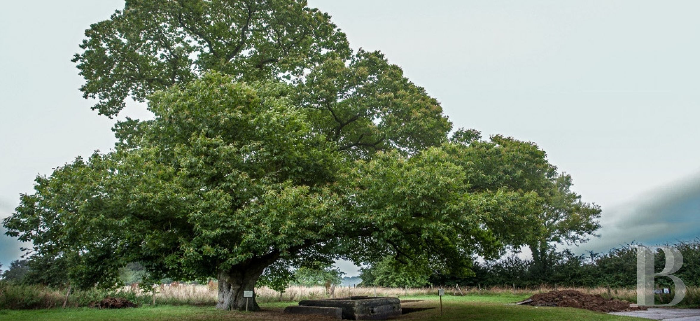 Dans le pays de Caux, entre Rouen et la côte d'Albâtre,  un lieu dédié aux arts et ouvert à la culture. - photo  n°19