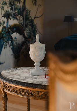 En Bourgogne, dans la Nièvre, un château d’origine médiévale dressé sur un promontoire au-dessus de l’Allier - photo  n°9