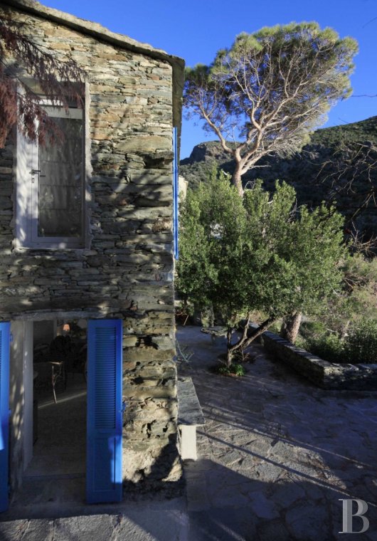 A rustic house with unrivalled views  in the hills of the picturesque village of Nonza - photo  n°5