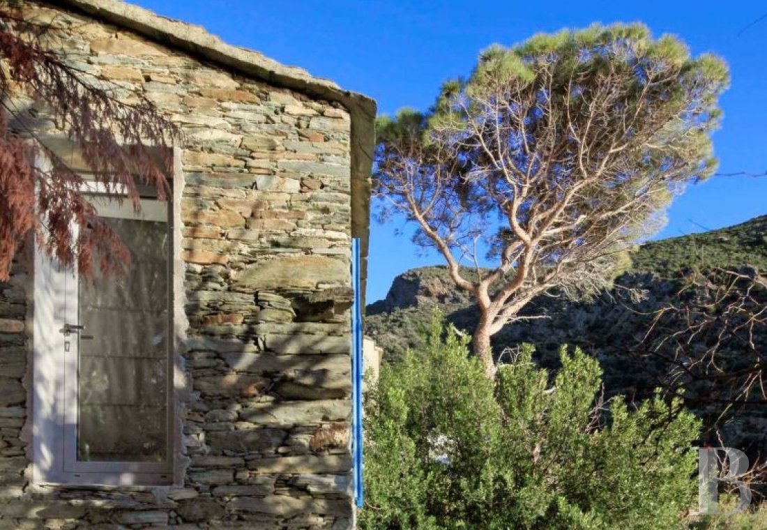 A rustic house with unrivalled views  in the hills of the picturesque village of Nonza - photo  n°7