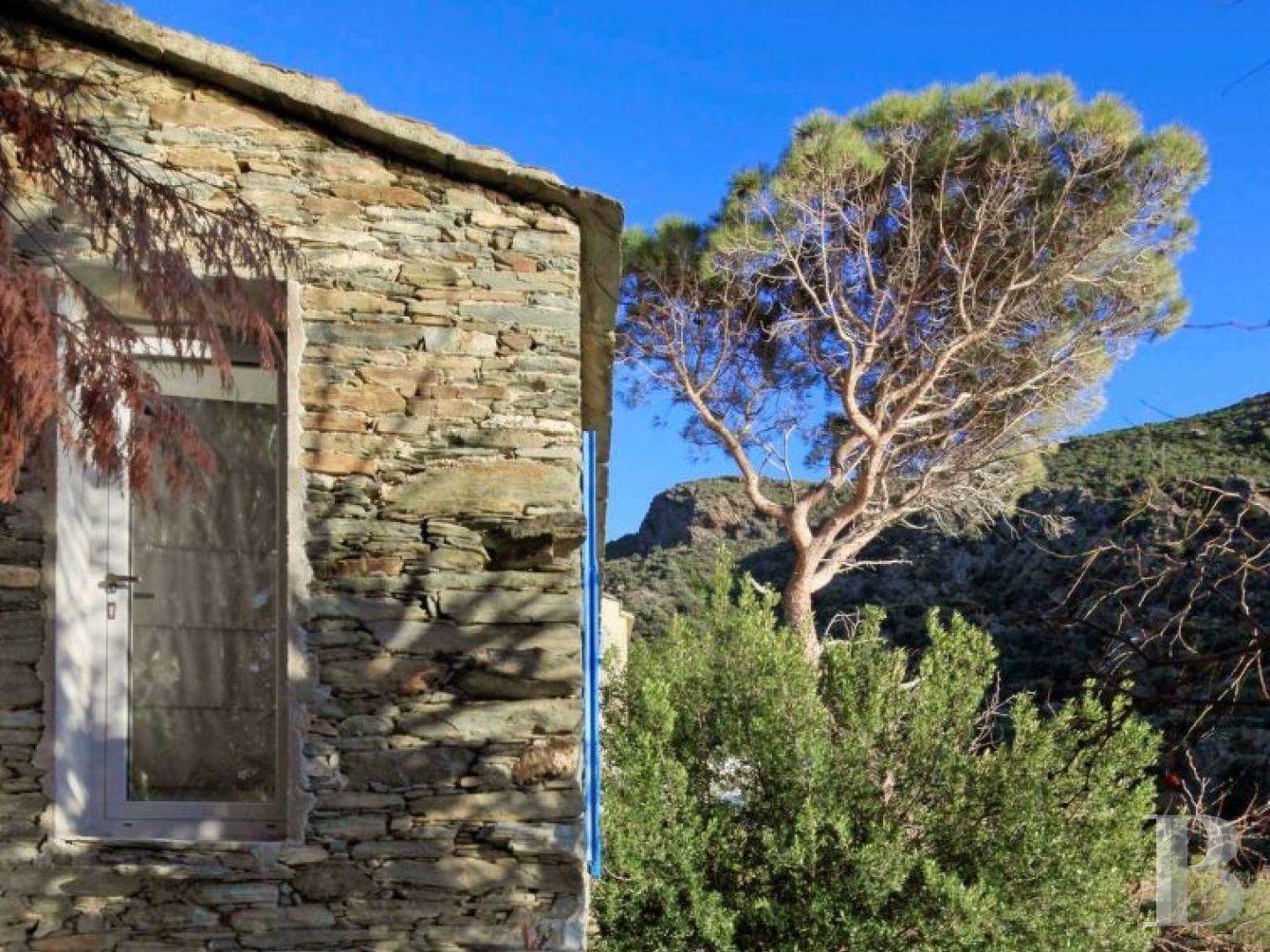 Dans les collines du pittoresque village de Nonza, une maison toute simple posée comme une vigie - photo  n°7