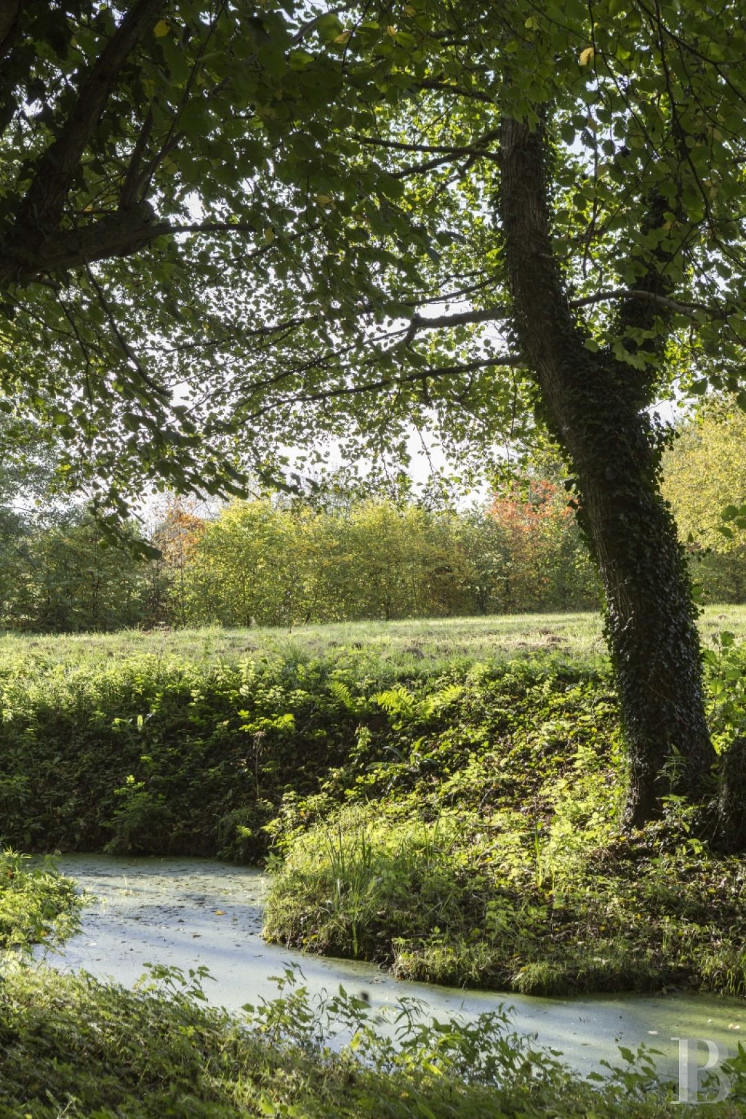 Au pays des faluns, sur la route de Dinan,  un chaleureux manoir ancré au bord d’une rivière - photo  n°2
