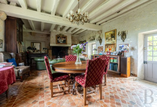 chateaux a vendre centre val de loire   - 7