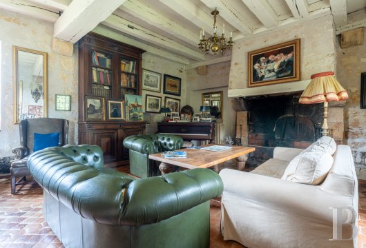 chateaux a vendre centre val de loire   - 6