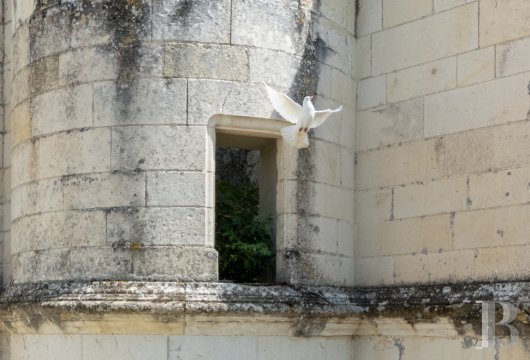 chateaux a vendre centre val de loire   - 24
