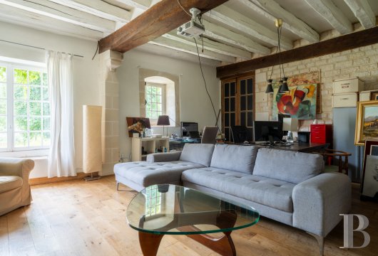 chateaux a vendre centre val de loire   - 10