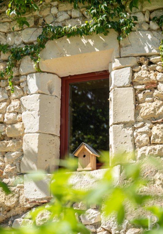chateaux a vendre centre val de loire   - 5