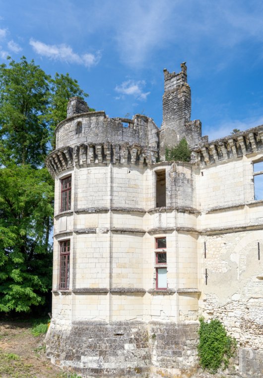 chateaux a vendre centre val de loire   - 14