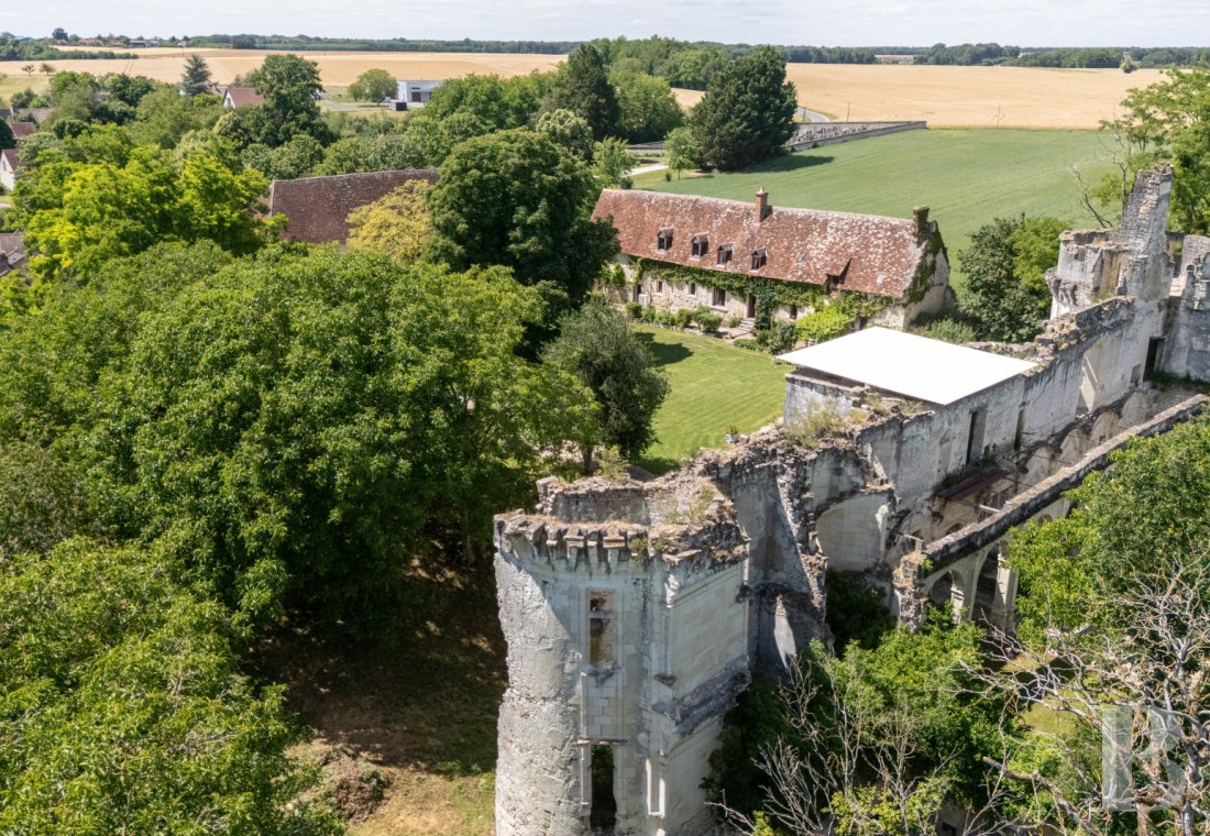 chateaux a vendre centre val de loire   - 3